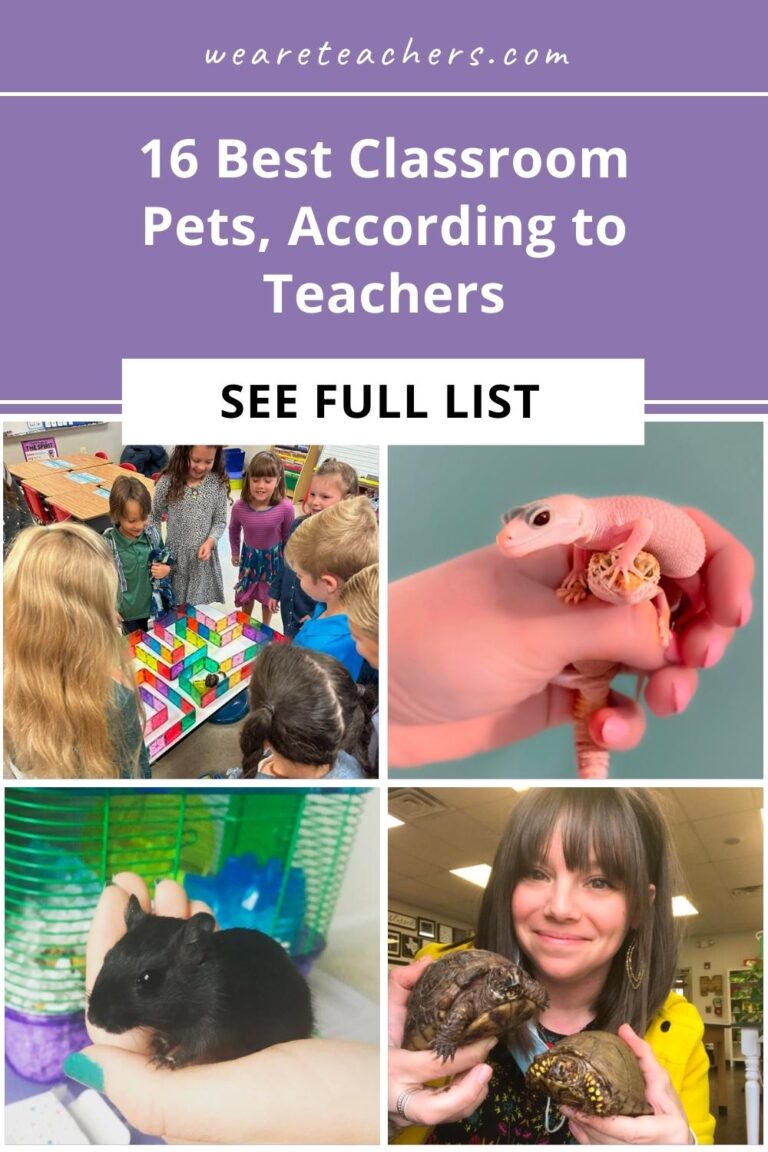 16 Best Classroom Pets, According to Teachers