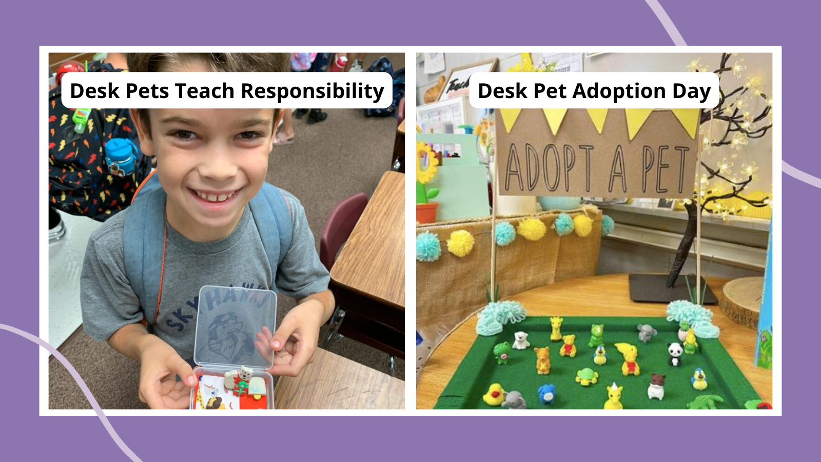 Desk Pets in Your Classroom: Yay or Nay (& How to Manage Them)