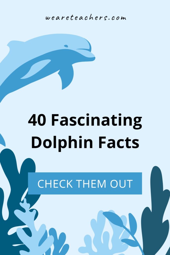 Everyone loves dolphins! They are smart, playful, and adorable. Share these amazing dolphin facts for kids to learn more in the classroom!