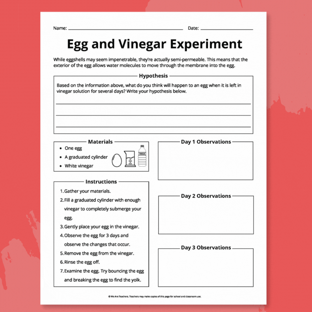 GIF showing egg and vinegar science experiment recording worksheet pages.