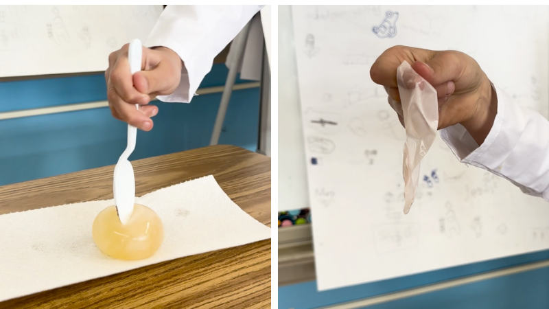 Egg and Vinegar Science Experiment Break the Egg