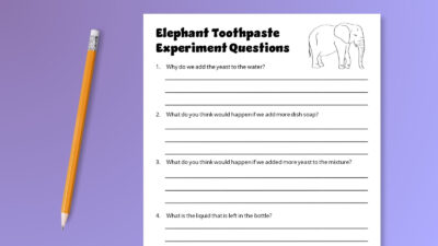 questions for elephant toothpaste experiment