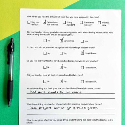 Student Perception Survey (Free Printable)