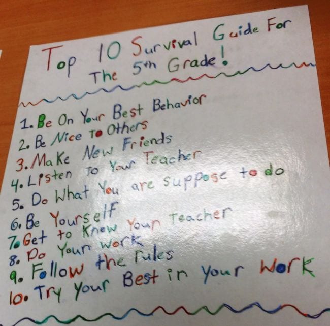 A student created classroom survival guide