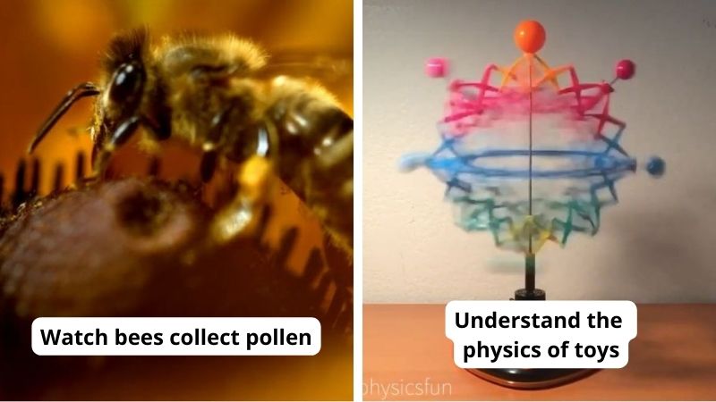 35 Resources For Free Science Videos For the Classroom And Beyond