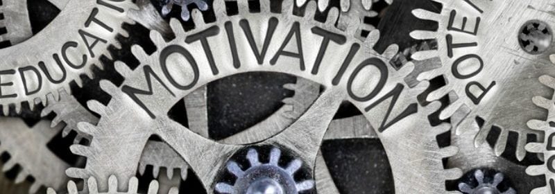 intrinsic and extrinsic motivation