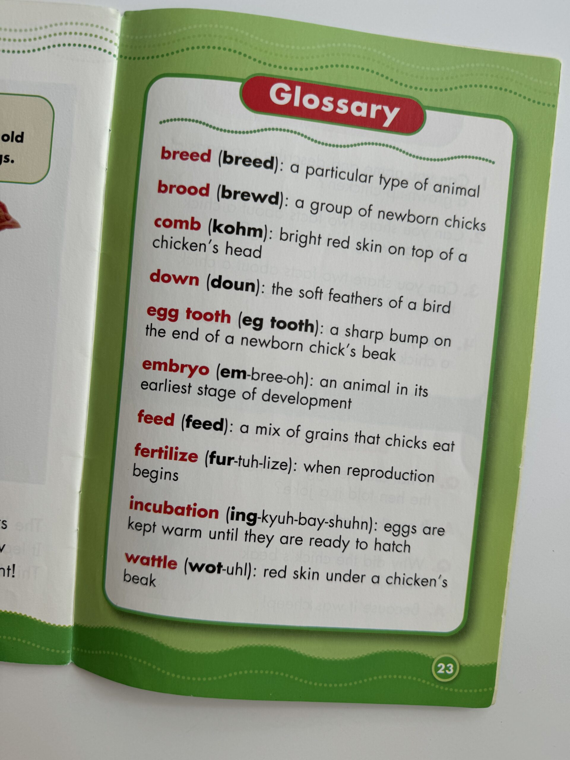 Glossary as example of nonfiction text features