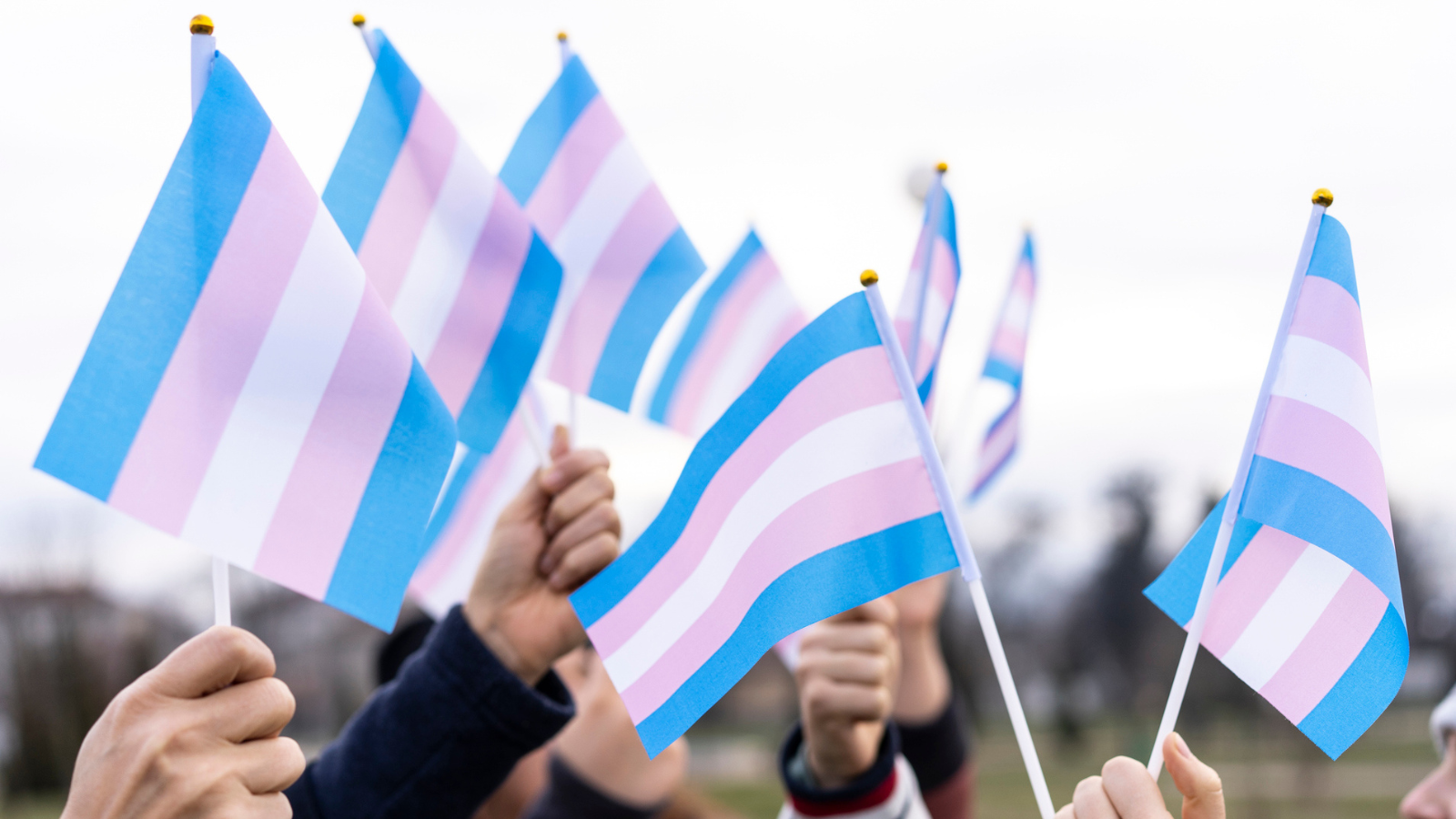 Photo of transgender flags illustrating how to be a trans ally as an educator