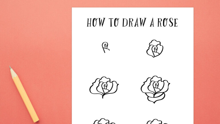 A piece of paper says How to Draw a Rose at the top and shows six different steps underneath in black marker on white paper.