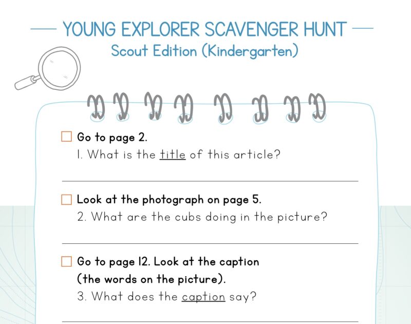 text feature scavenger hunt to teach text features 