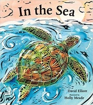 Best Ocean Books for Kids, as Chosen by Educators