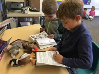 How I Taught My Kindergarten Kids to ID Hundreds of Birds