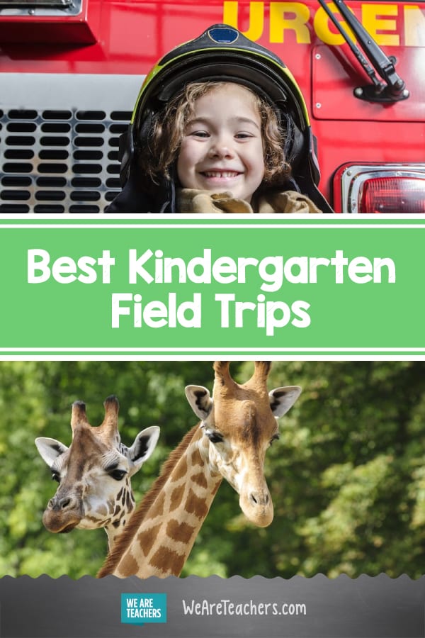 The Best Kindergarten Field Trips (Both Virtual and In-Person!)