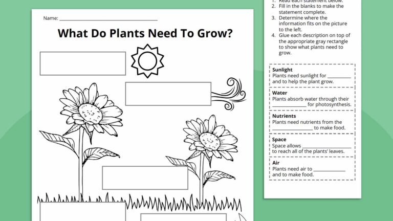 Plant Life Cycle Worksheet Bundle (Free Printables)