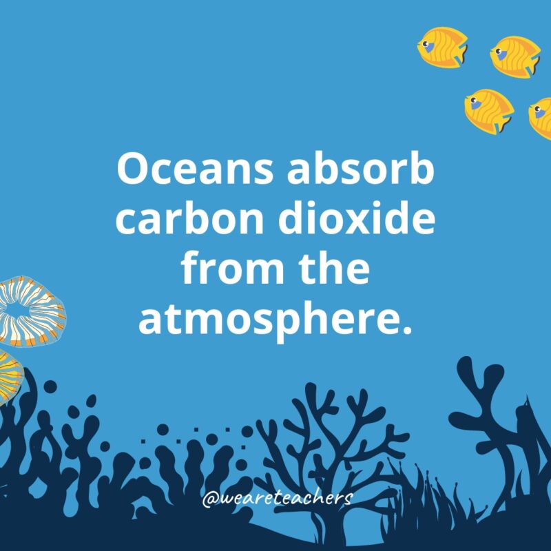 Oceans absorb carbon dioxide from the atmosphere.