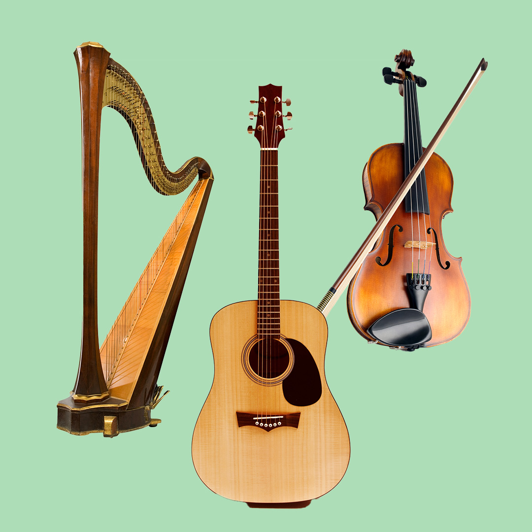 musical instruments string family