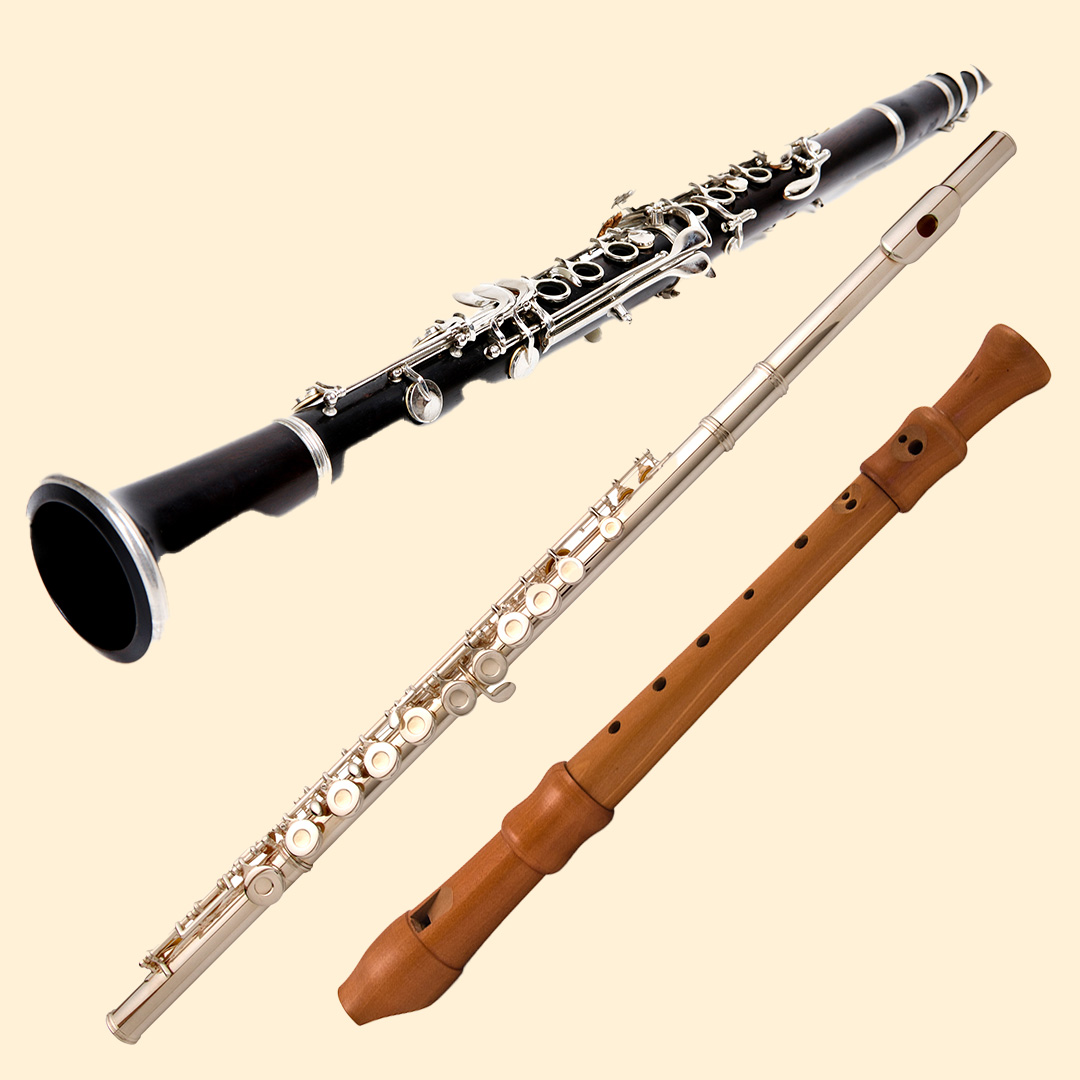 Types of musical Instruments woodwind