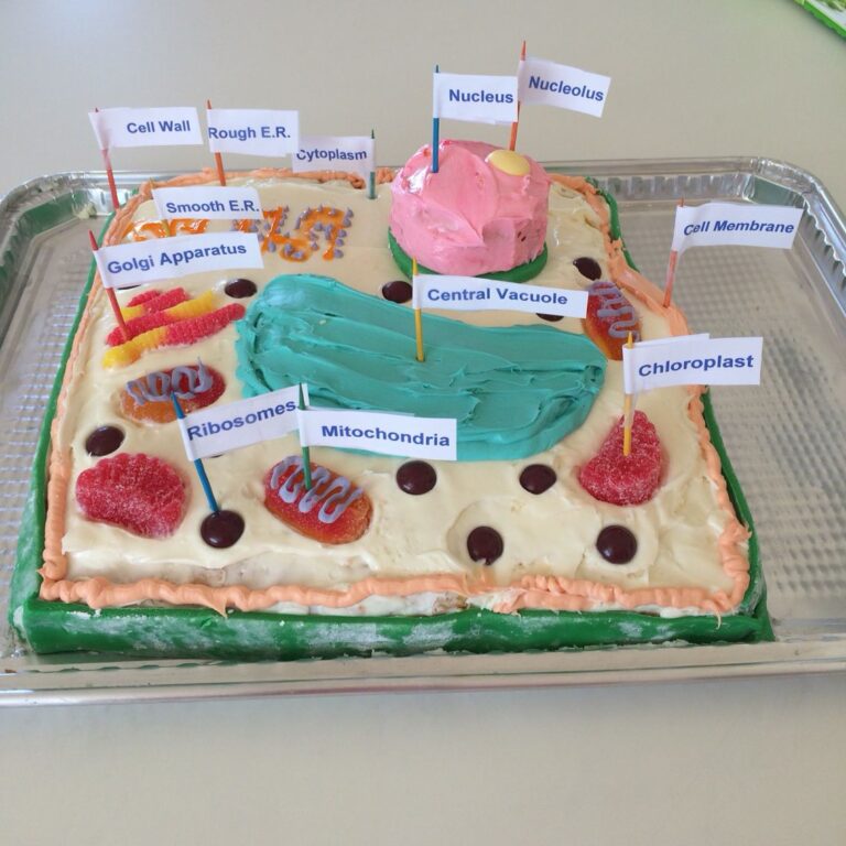 17 Creative Plant Cell Project Ideas To Try This Year