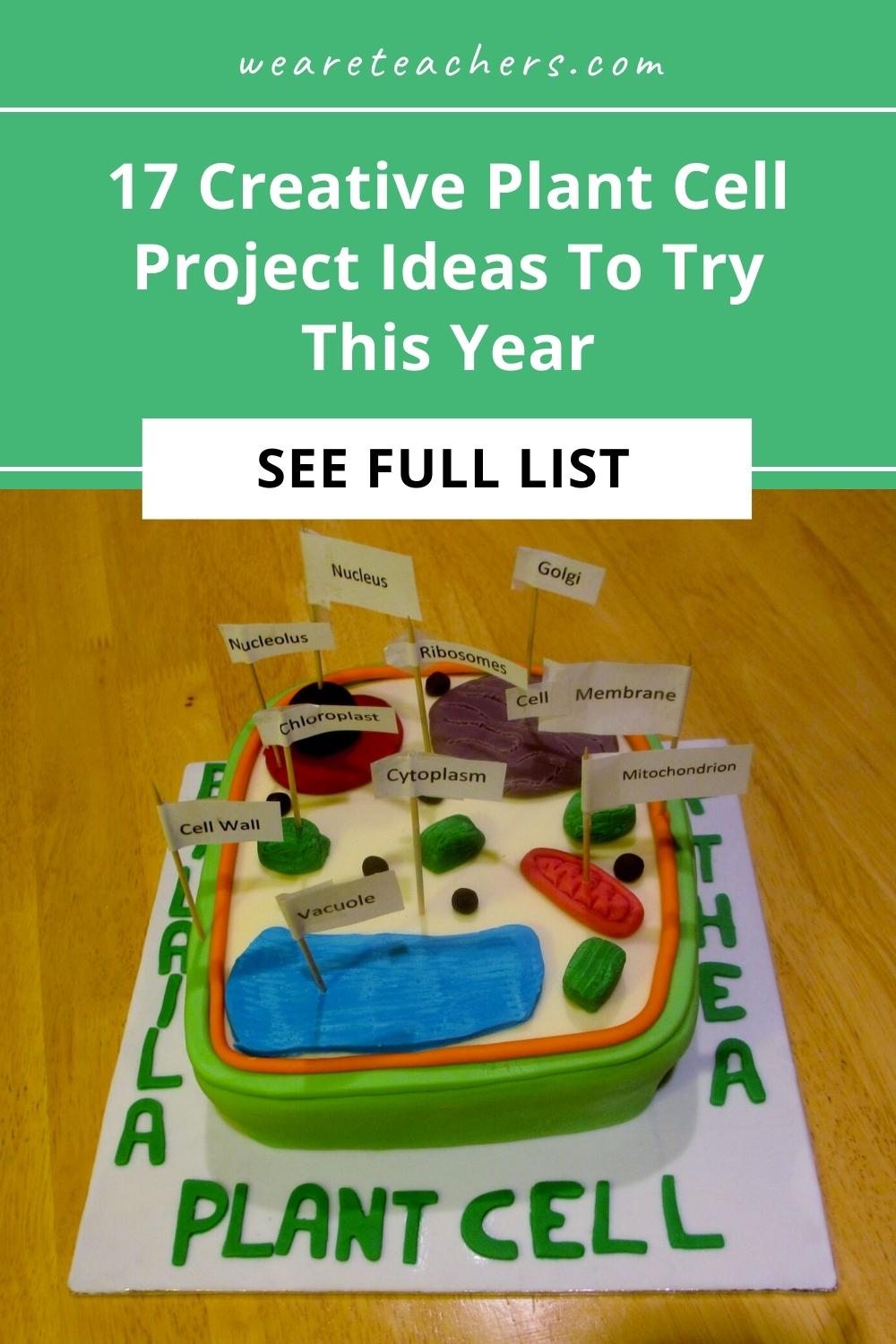 17 Creative Plant Cell Project Ideas To Try This Year