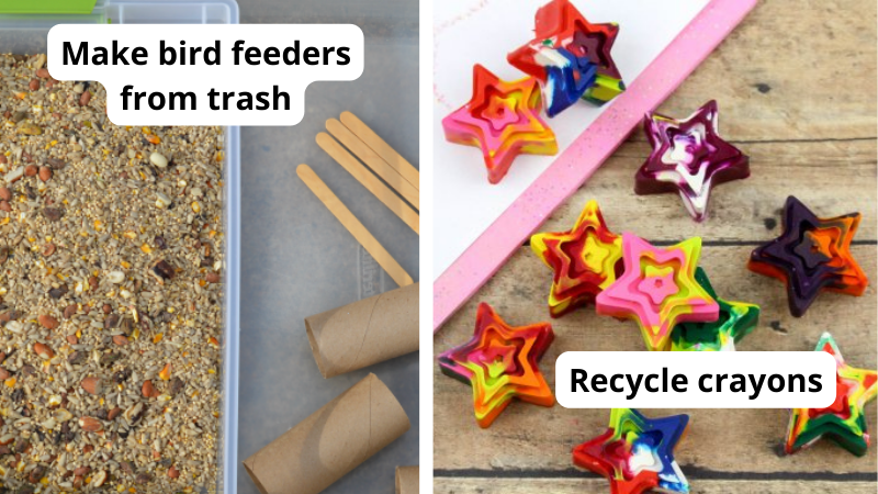 6 Household Items That You Can Repurpose for Enrichment (With Videos!)
