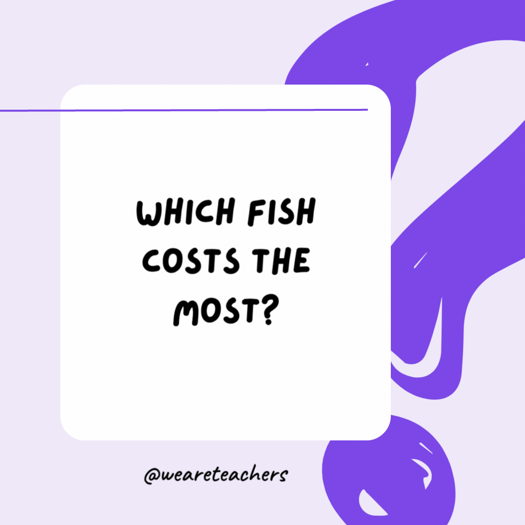 Which fish costs the most?

A goldfish.