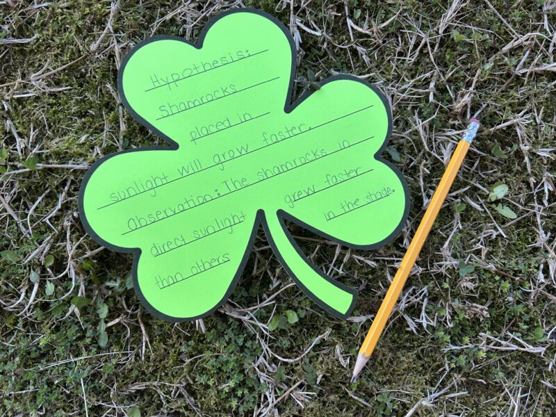 Shamrock science activity