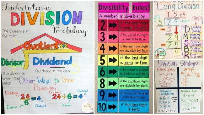 Collage of anchor charts for teaching division