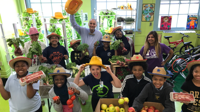 tower garden improves community