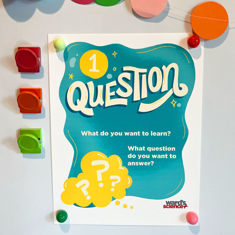 Image of Ward's scientific method posters first question poster