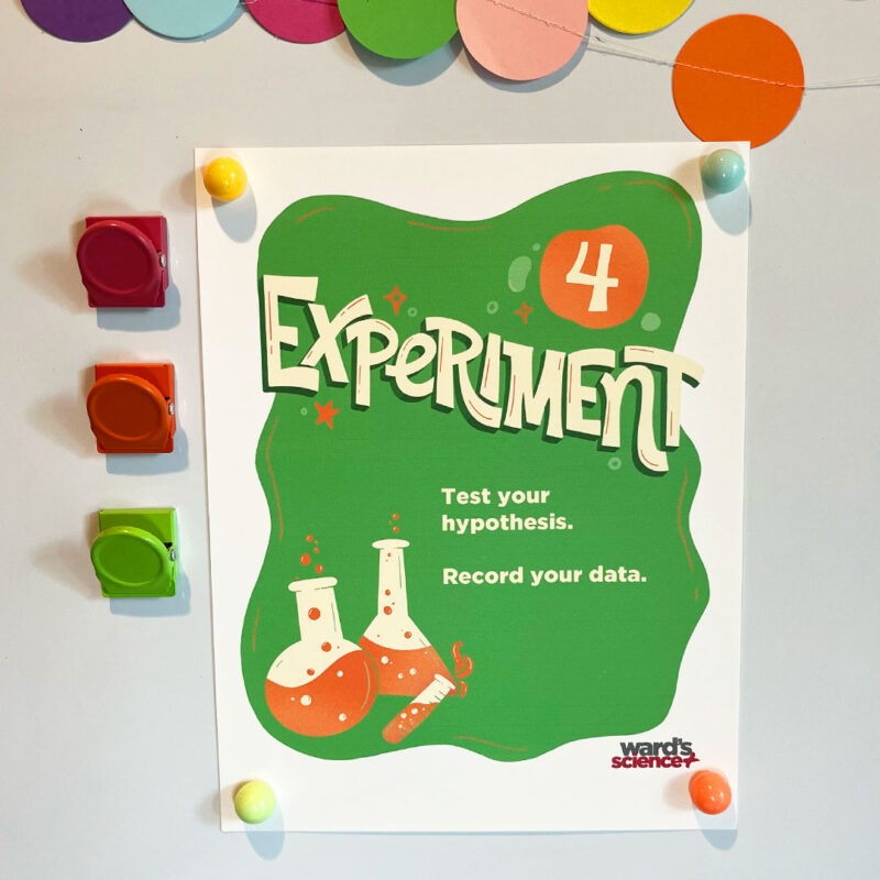 Image of the experiment poster from the set of scientific method posters