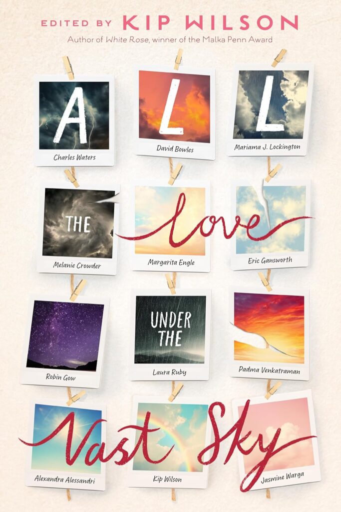 All the Love Under the Vast Sky book cover