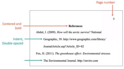 How To Write a Bibliography Plus Examples