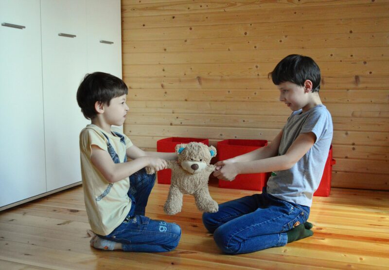 Two children pulling on a teddy bear