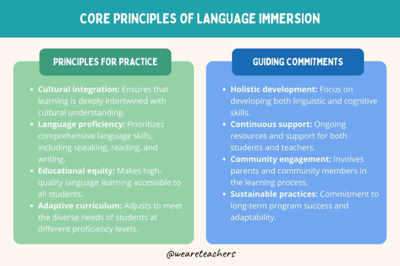 Chart listing the core principles of language learning.