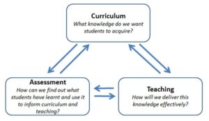curriculum development meaning essay