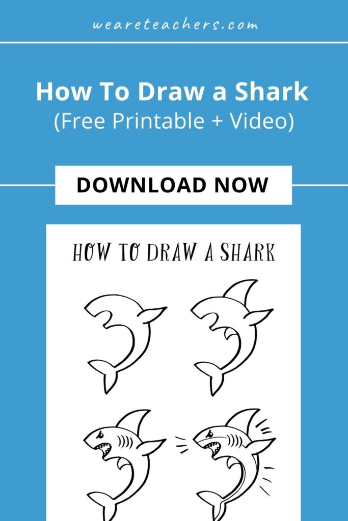 Check out our video with accompanying free printable step-by-step instructions for learning how to draw a shark.