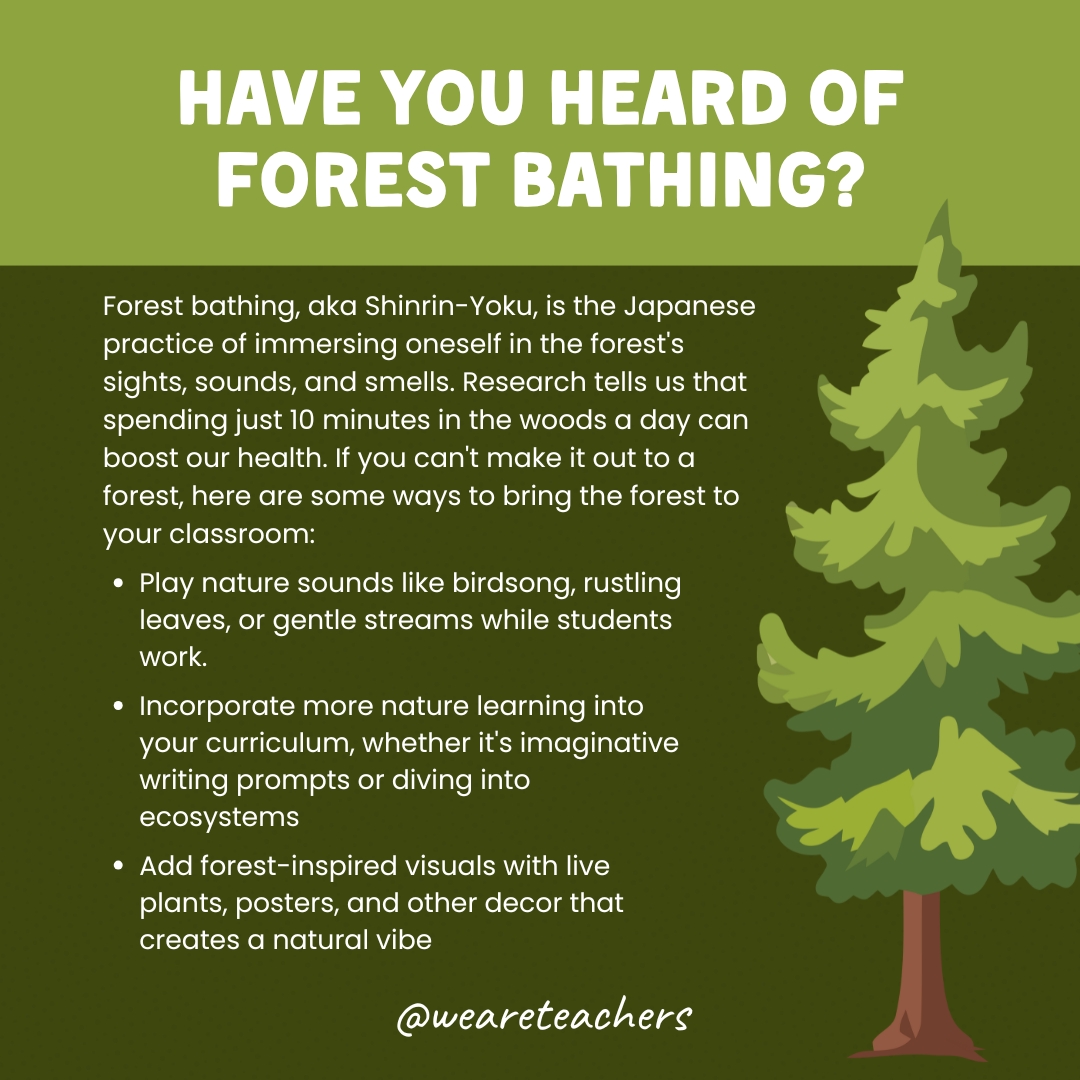 have you heard of forest bathing green social image.