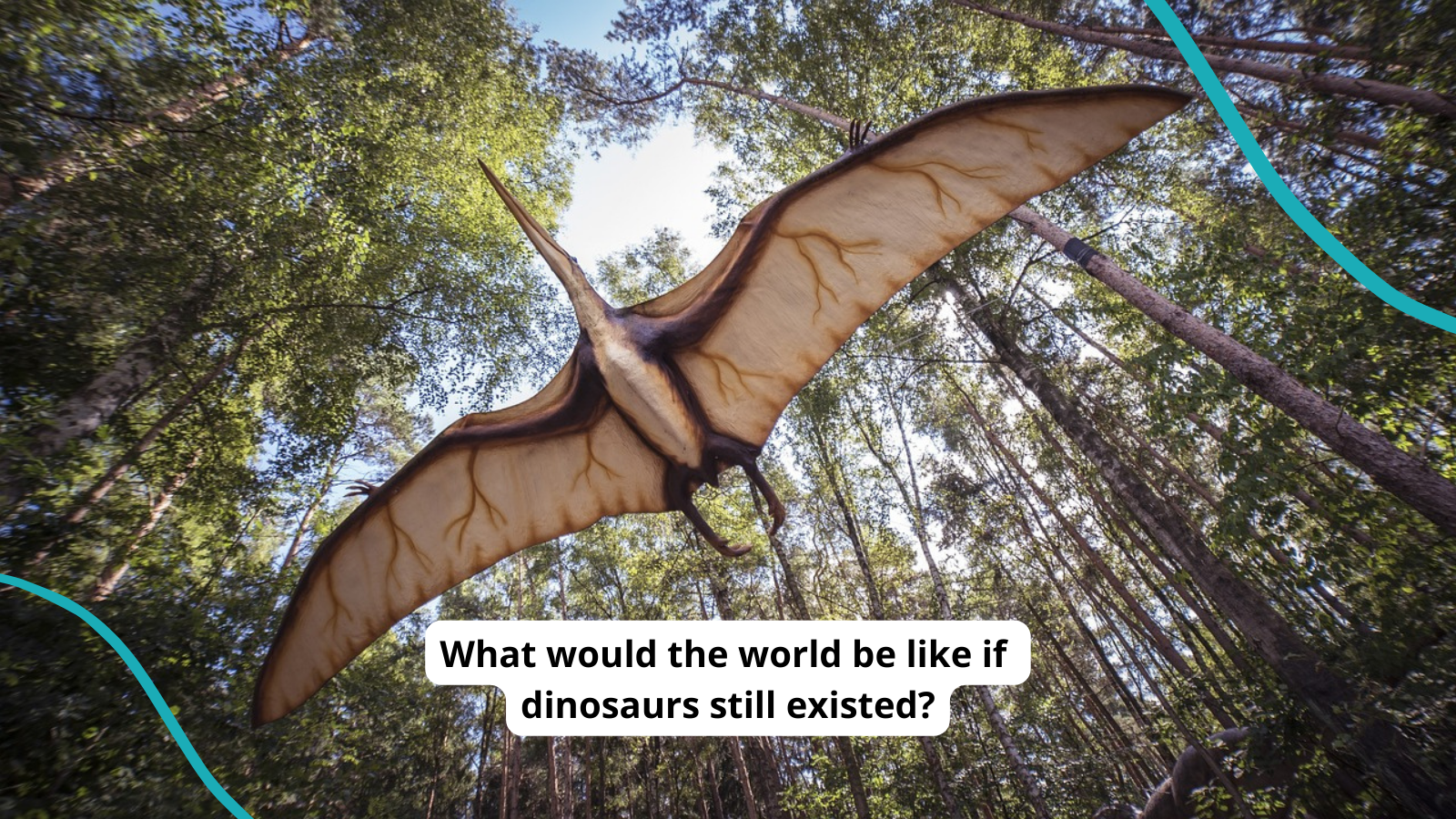 Pterosaur soaring through the woods, shown from underneath. Text reads What would the world be like if dinosaurs still existed?