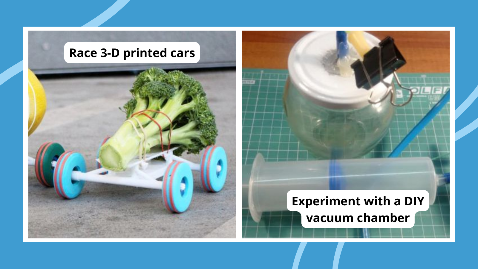 70 Best High School Science Fair Projects in Every Subject