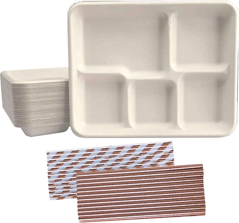 4-Compartment Divided Plastic Kids Tray - Set Of 12 Plastic lunch Trays