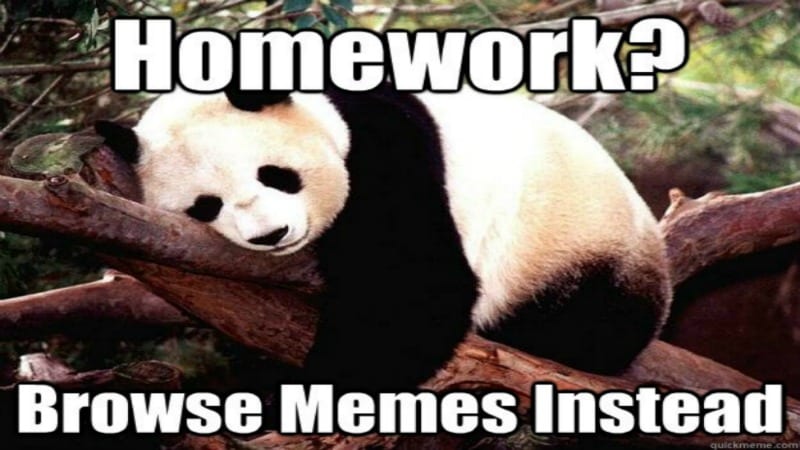 no homework meme