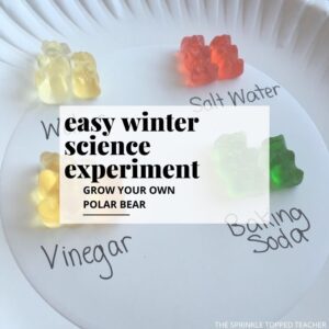 40 Best Winter Science Experiments for Kids of All Ages