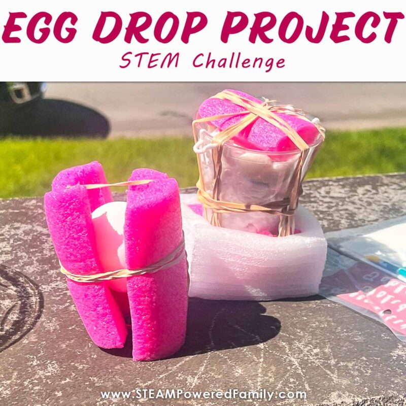26 Egg-cellent Egg Drop Challenge Ideas - Stella Maris Press