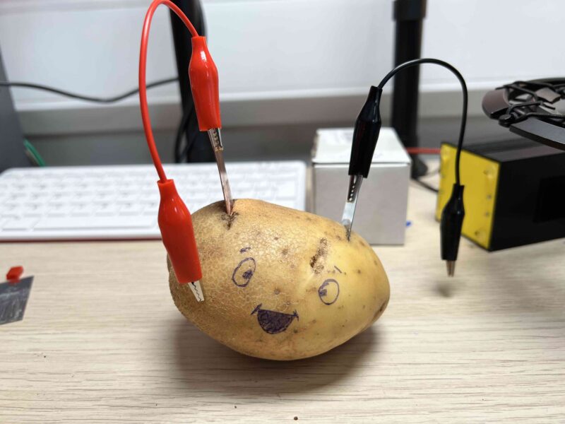 potato battery for high school science experiment 