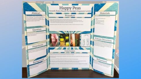 3 Easy Science Fair Board Projects and Creative Ways to Use Them