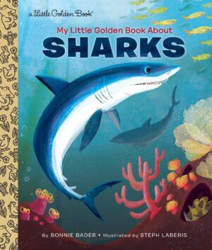 Best Shark Books For Kids, As Recommended By Teachers