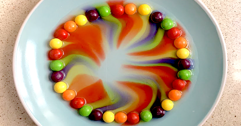 Make rainbows out of skittles candies as a second grade science experiment