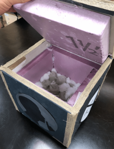 sound proof box for high school science experiment 