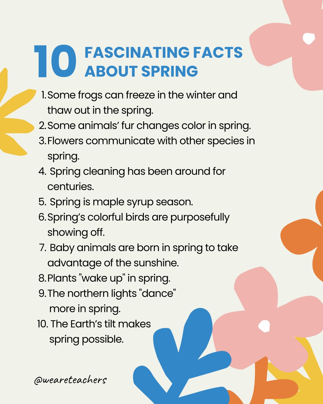 25 fatos divertidos sobre a primavera para iluminar seu dia