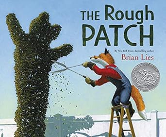 the rough patch book cover 